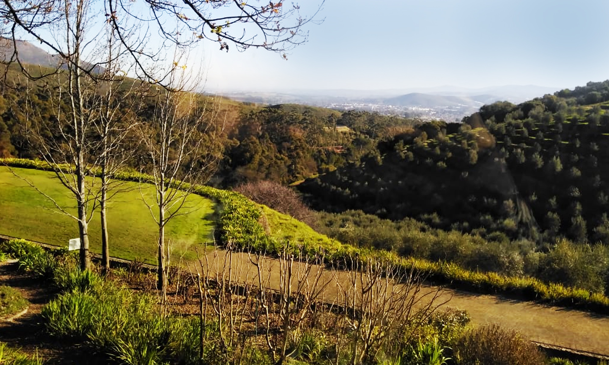 Bingley Tours Winelands Tokara