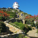 Bingley_Tours_Cape_Town_Personalised_Tours_Cape_Point