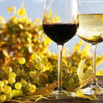 Bingley_Tours_Cape_Town_Personalised_Tours_Wine_Tour